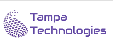 Custom Cybersecurity Solutions | Tampa Technologies | vCISO | MSSP